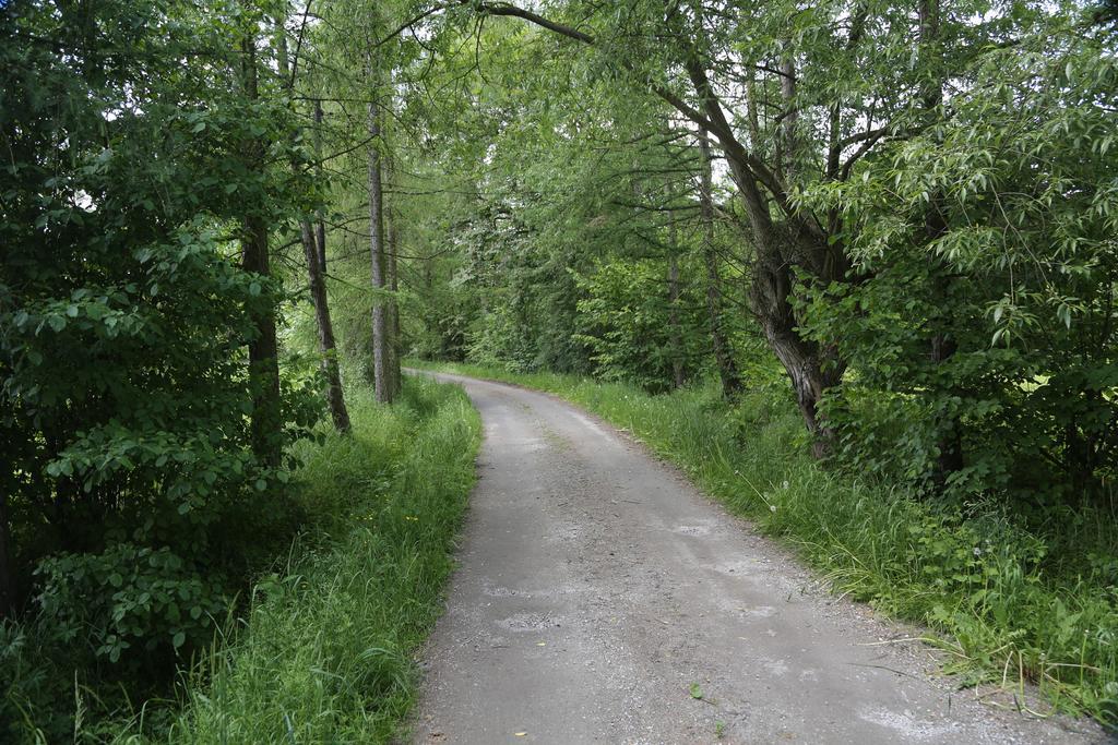 Gospodarstwo Agroturystyczne Stary Mlyn Wilczkowice Michalowice  Eksteriør bilde