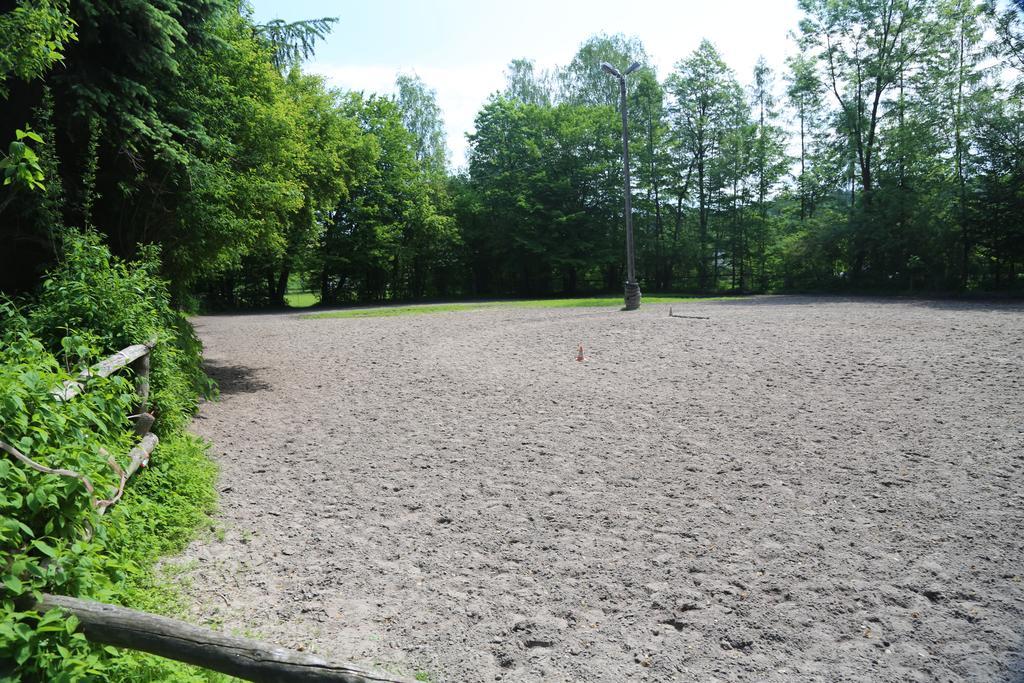 Gospodarstwo Agroturystyczne Stary Mlyn Wilczkowice Michalowice  Eksteriør bilde