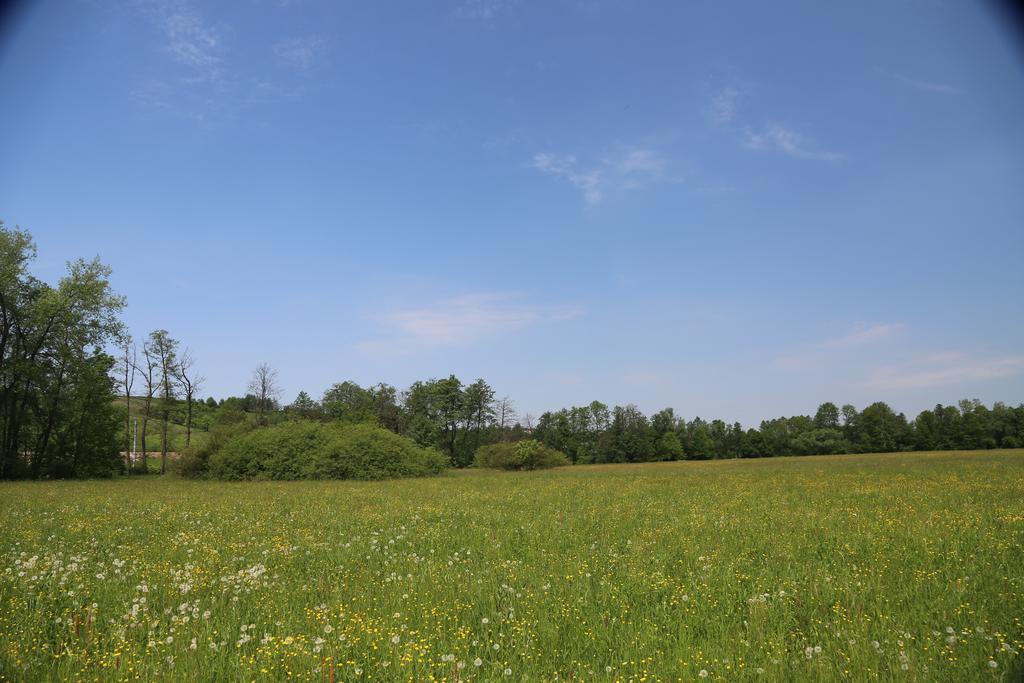 Gospodarstwo Agroturystyczne Stary Mlyn Wilczkowice Michalowice  Eksteriør bilde