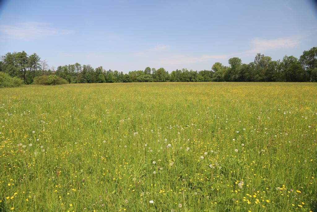 Gospodarstwo Agroturystyczne Stary Mlyn Wilczkowice Michalowice  Eksteriør bilde